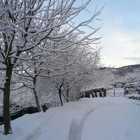 Casa Martini Oda ve Kahvaltı