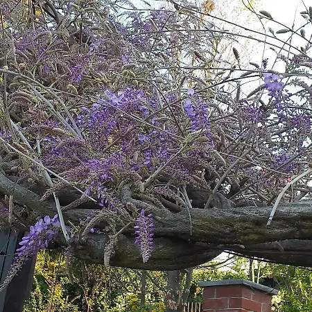 Casa Martini Oda ve Kahvaltı