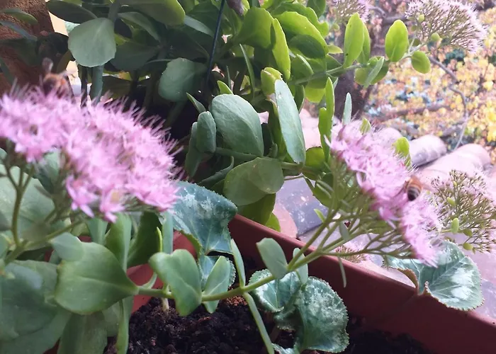 Casa Martini Bed & Breakfast