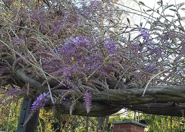 Casa Martini Bed & Breakfast